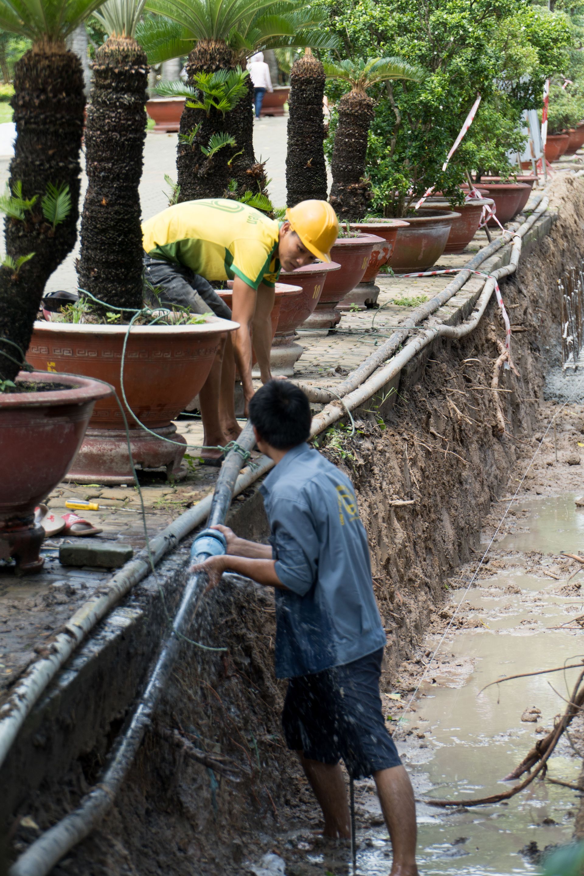 Two workers clean a muddy drainage ditch beside potted plants on a terrace.