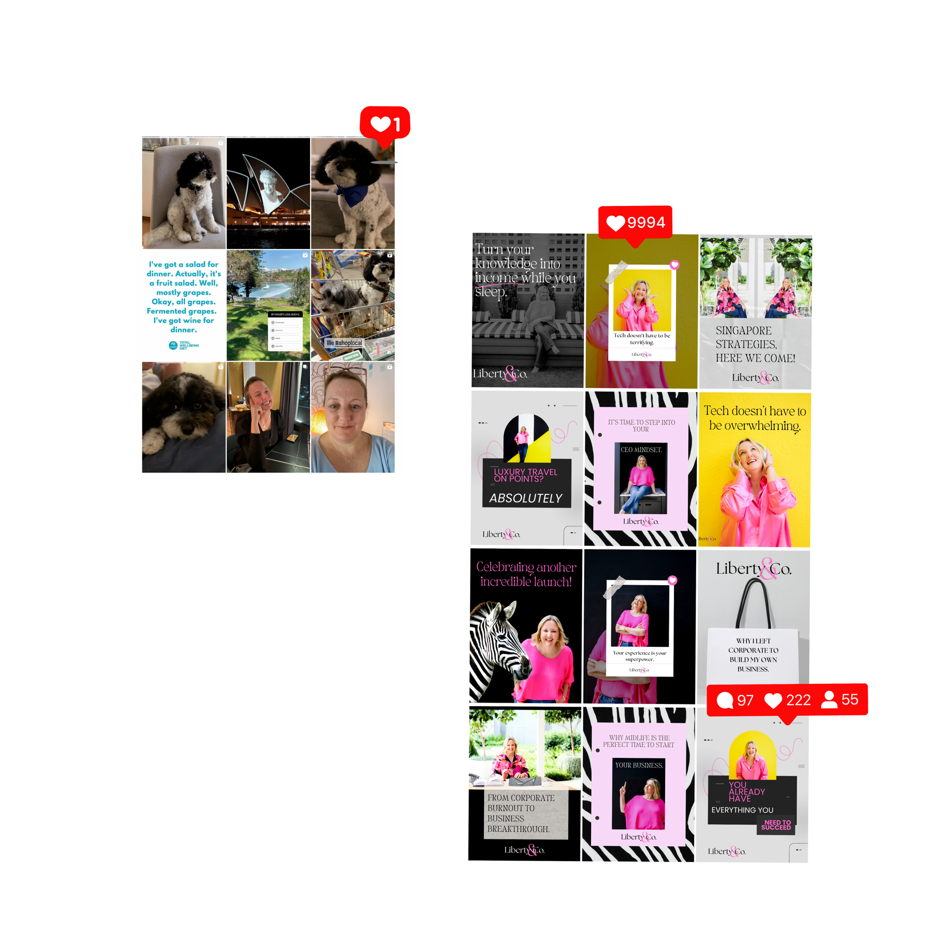 Two Instagram post collages; dogs and a blonde woman wearing pink. Hearts indicate likes.