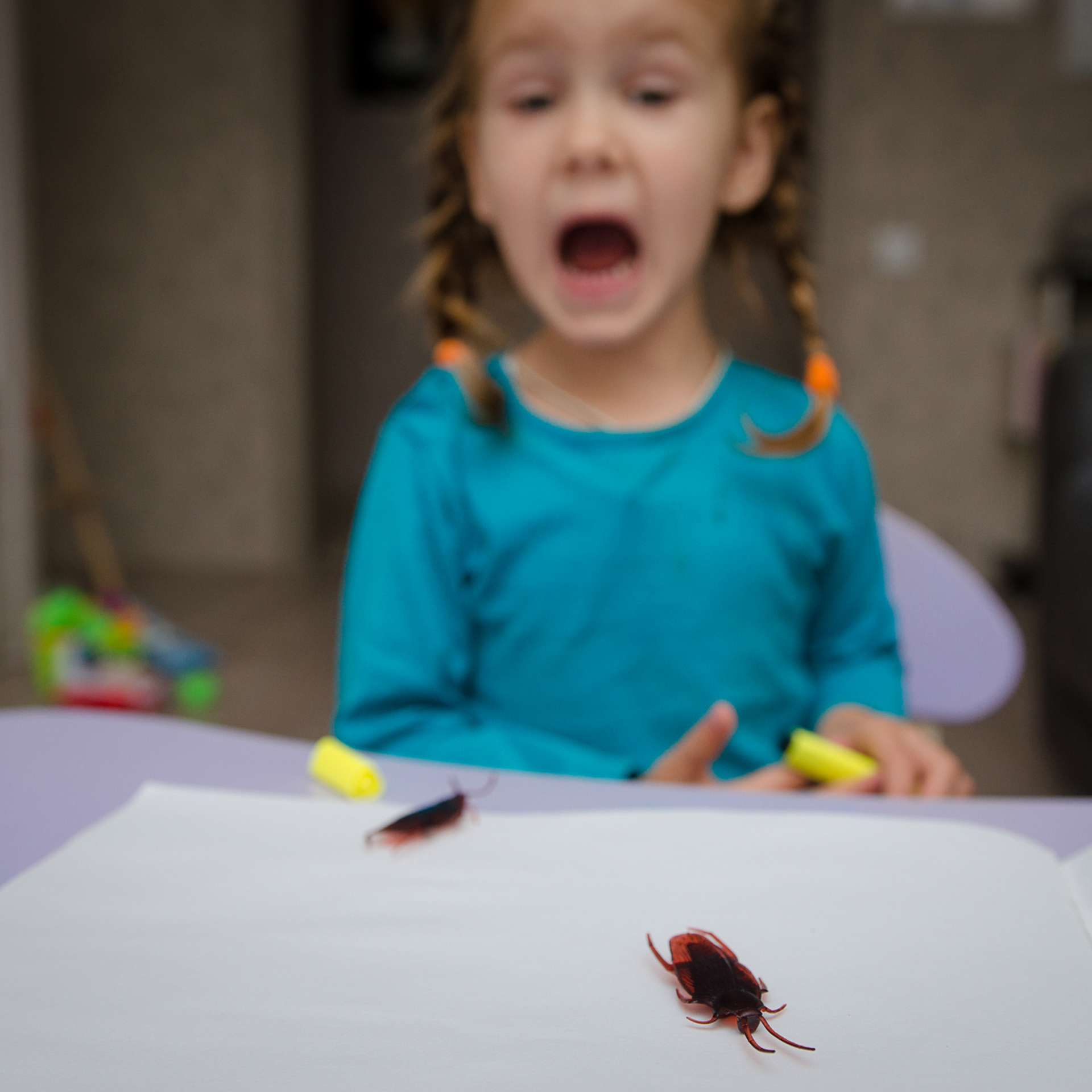 24 Hour Emergency Pest Control Services