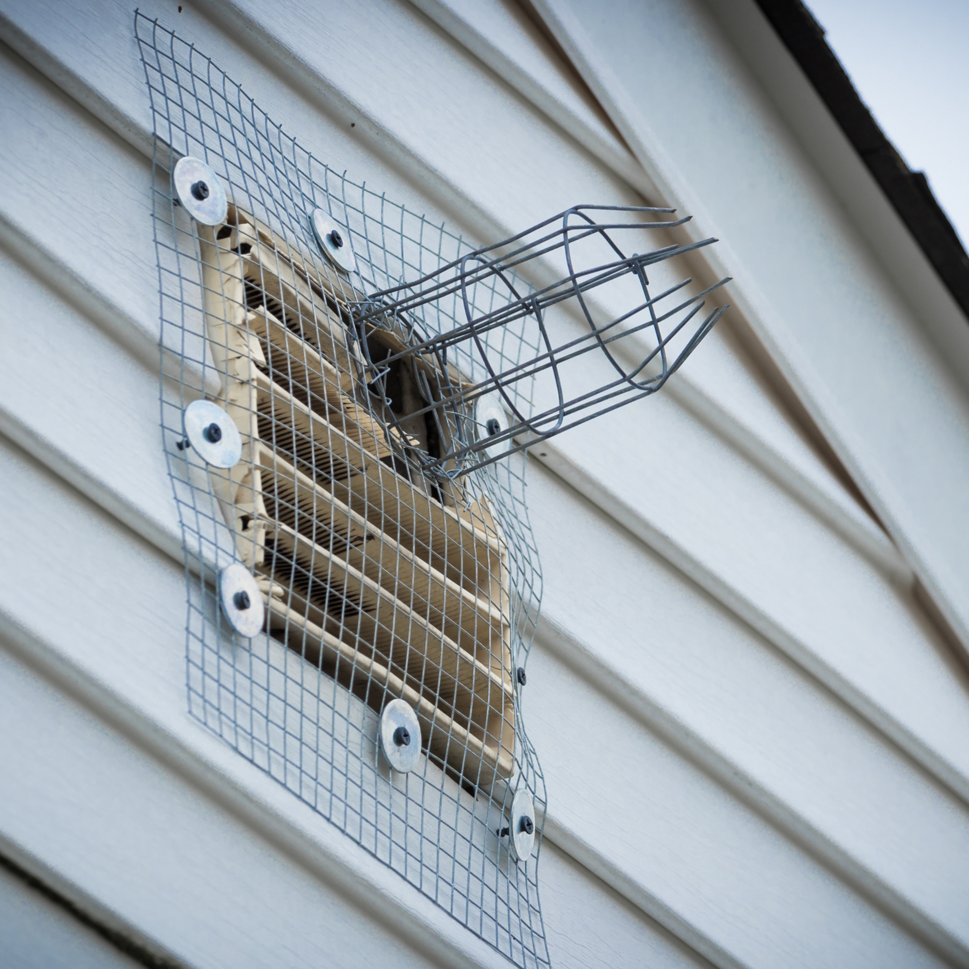 Exclusion Pest Control Services