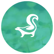 A white squirrel with a long tail is in a green circle.