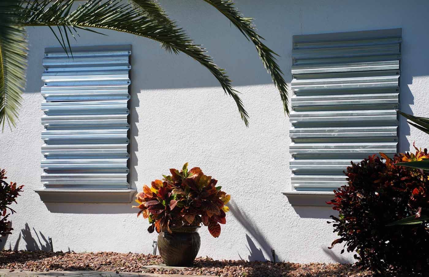 A house with a potted plant in front of it