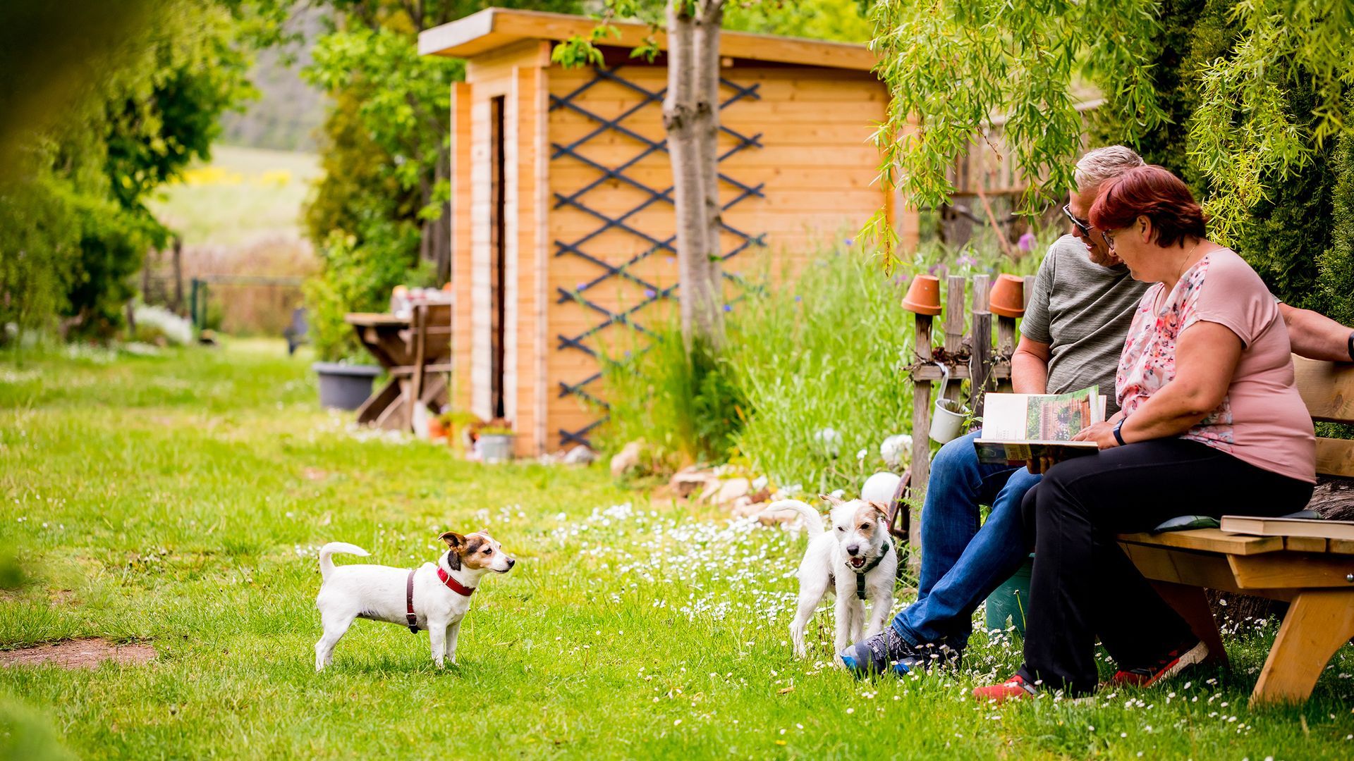 FeWo Hoff - Gartenansicht mit Hund