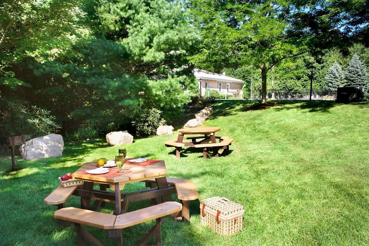Outdoor communal lawn with wooden picnic tables, trees, and a building in the background.