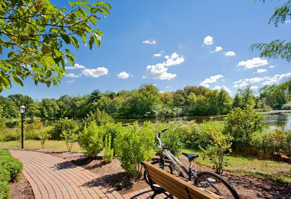 Bicycle on a wooden bench beside a brick path in a sunny park with green trees and blue sky
