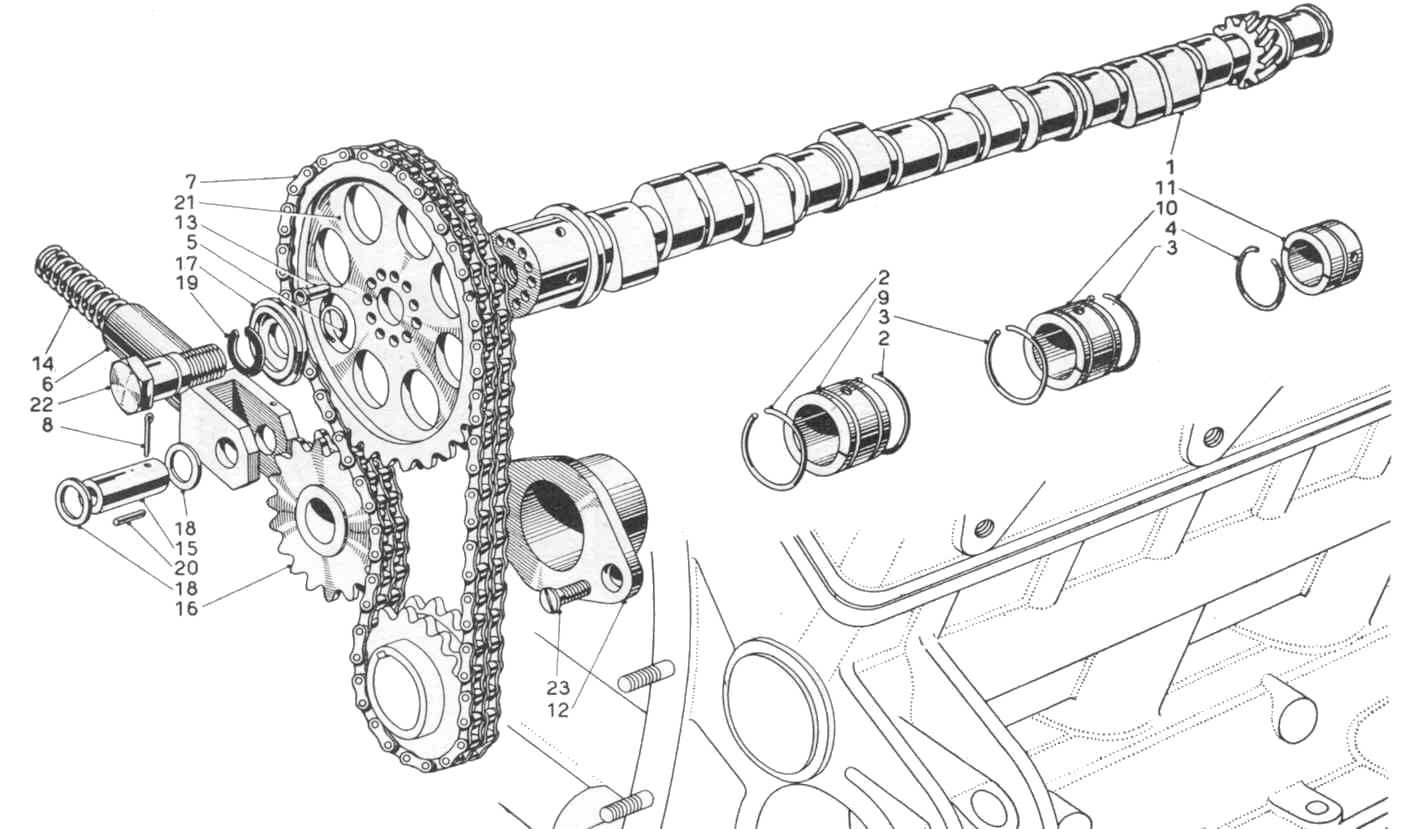 A black and white drawing of a chain and a camshaft on a car engine.