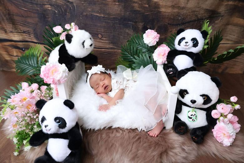 Newborn