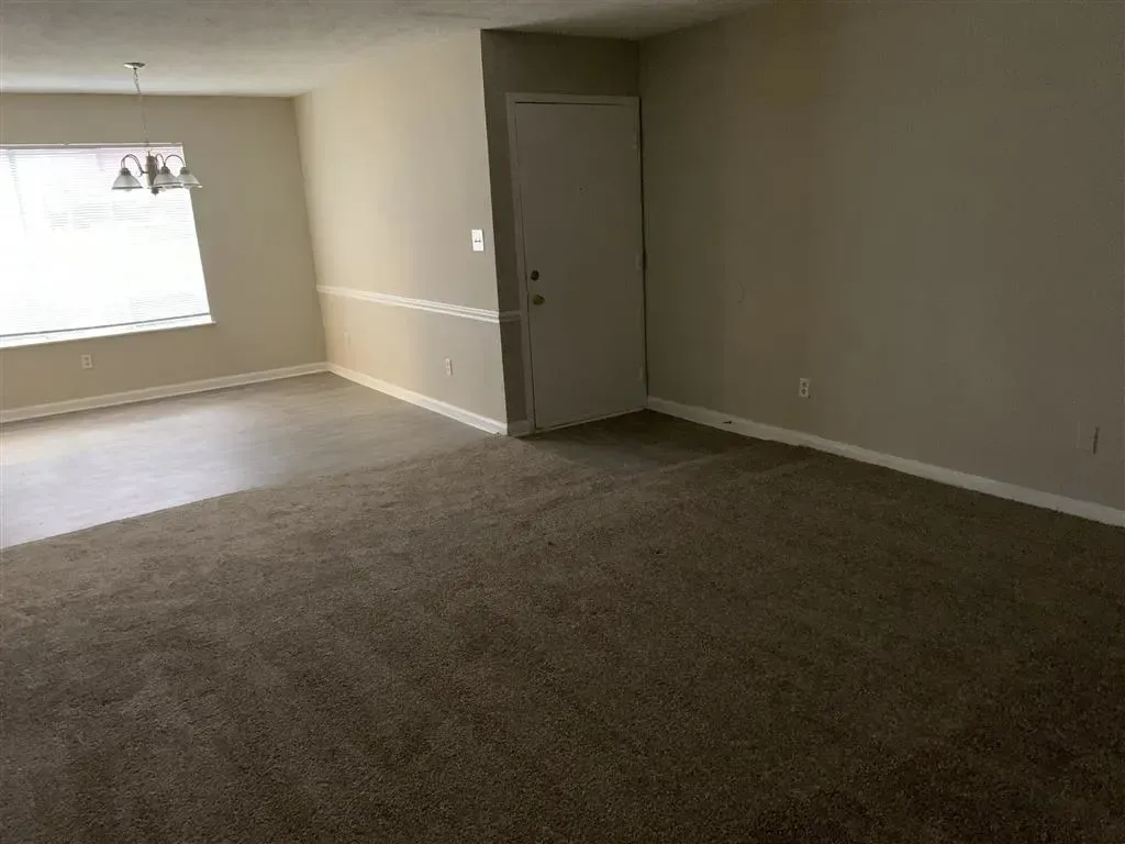 Empty beige living room with carpet, window light, and a small closet door.