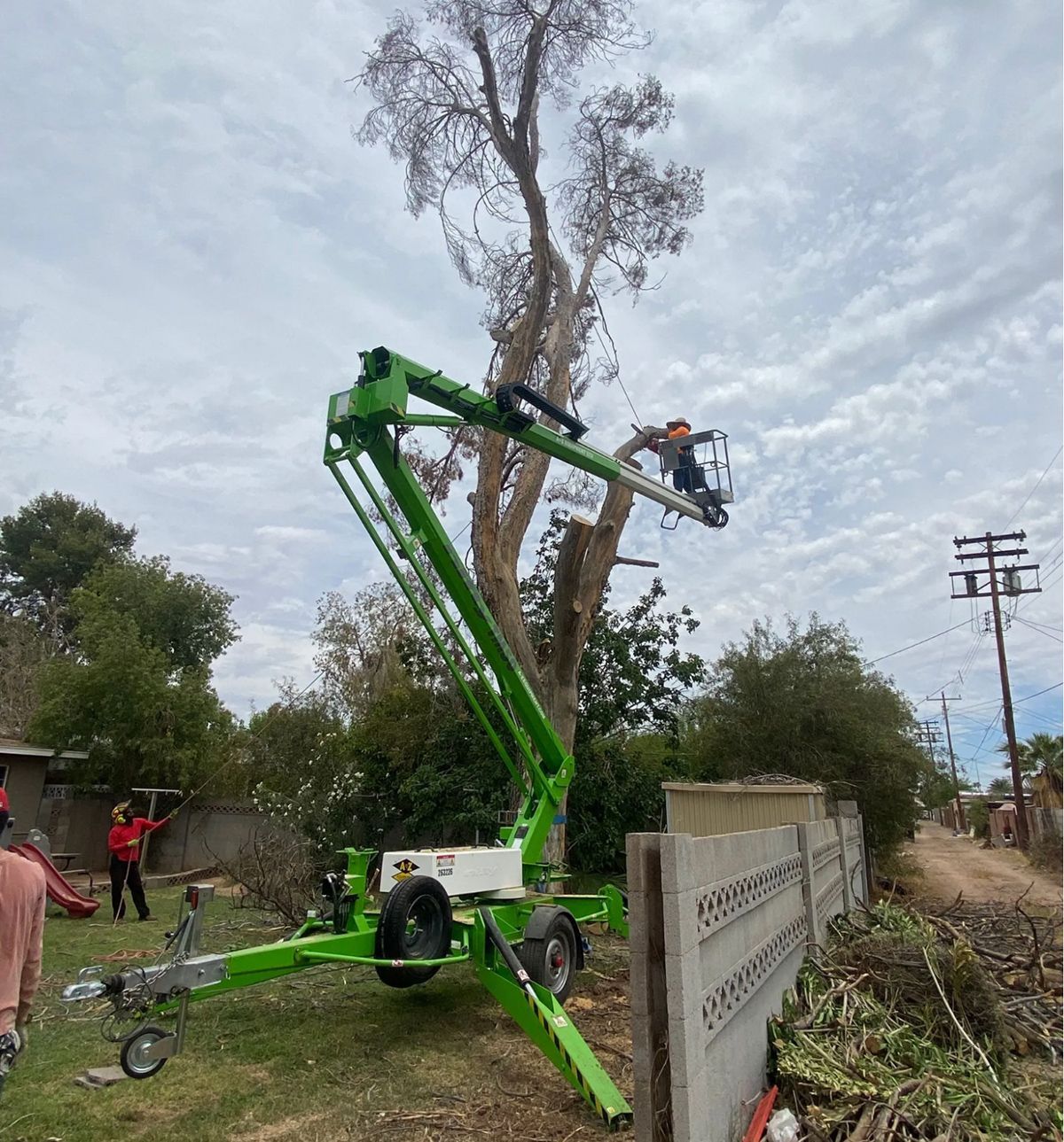 A green crane is cutting a tree in a yard.