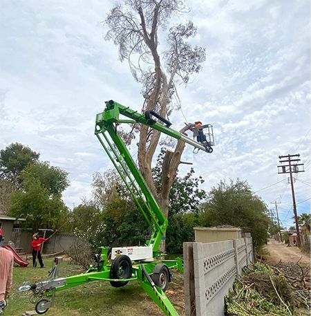 A man is cutting a tree with a green crane.