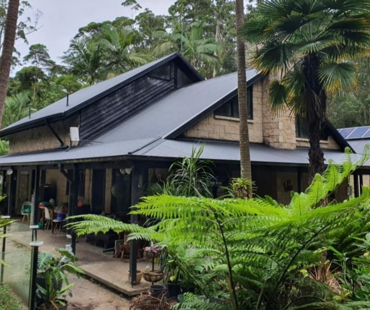 Rain-soaked tropical house with dark roof, lush palm trees, and green ferns in front