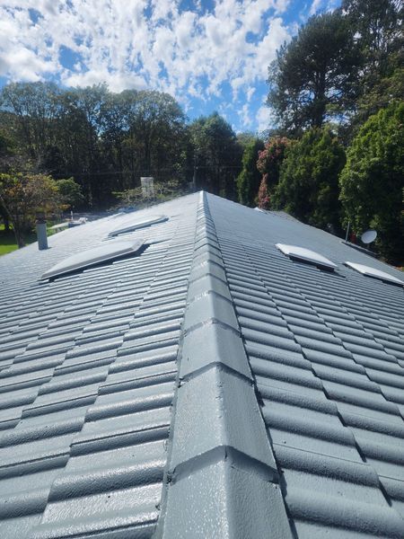 Roof Restoration Services by ColourMe Painting Roof Restoration