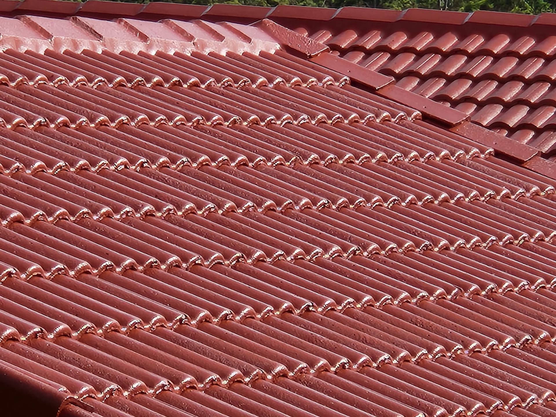 Roof Painting