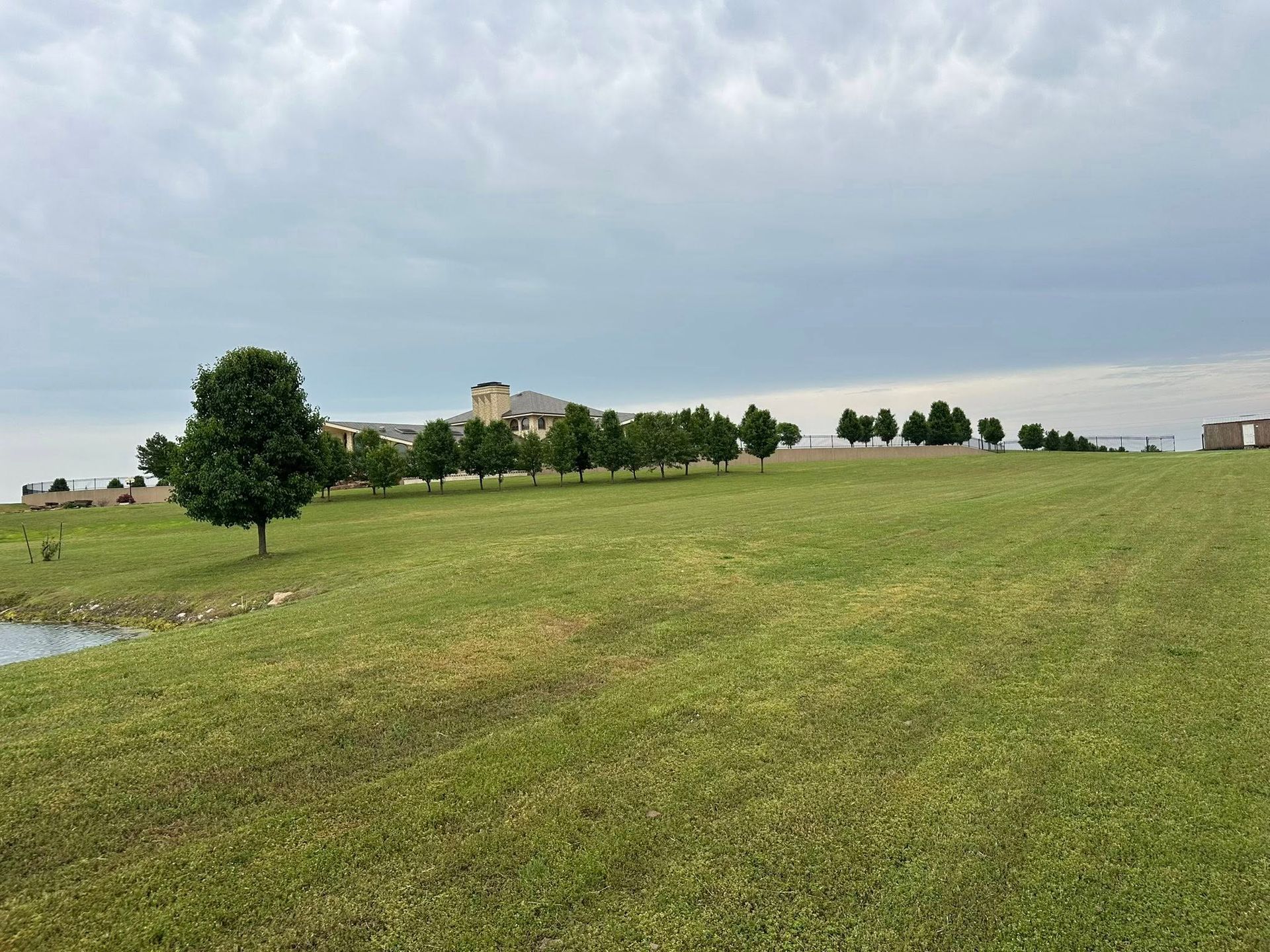 Green grassy hillside with a line of trees, overcast sky, and buildings in the distance.