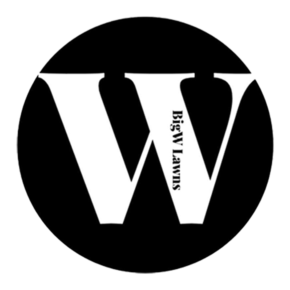 Black circle with large white 