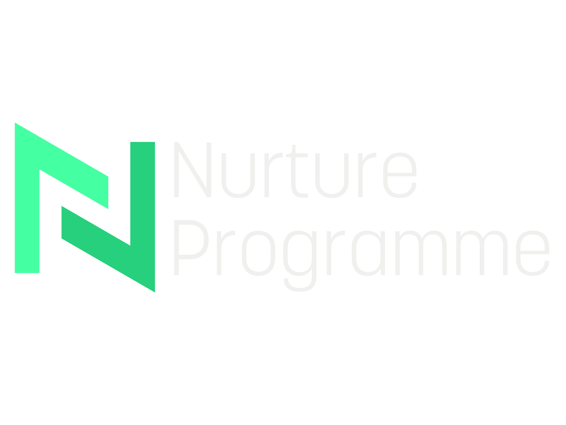 Mint-green N logo with pale text “Nurture Programme” on a white background