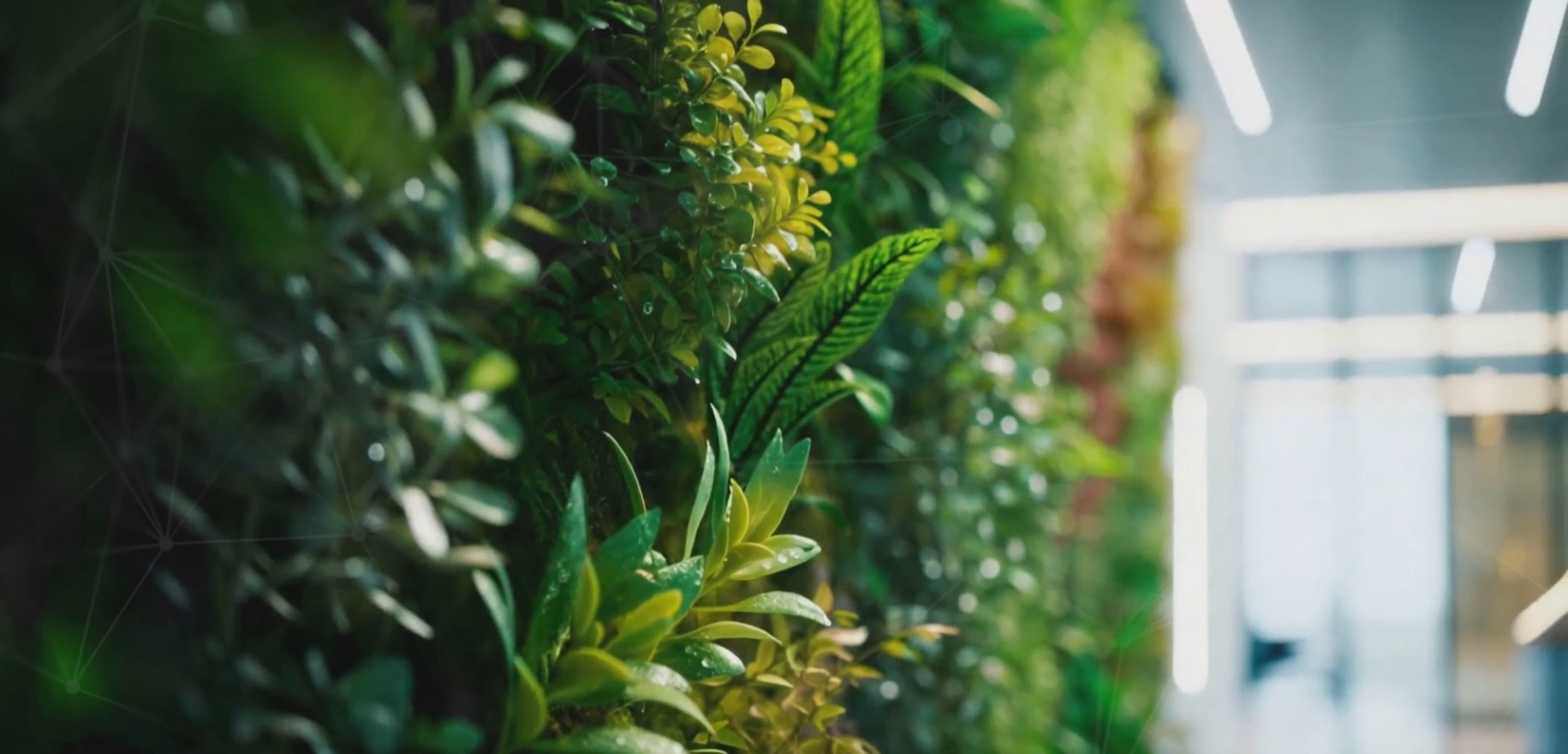Vertical garden wall with lush green plants in a bright indoor corridor