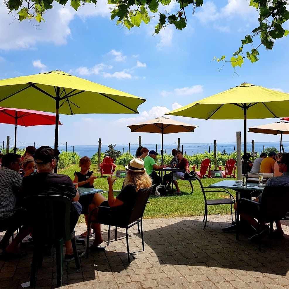 Picture of the view at County Cider Company Prince Edward County
