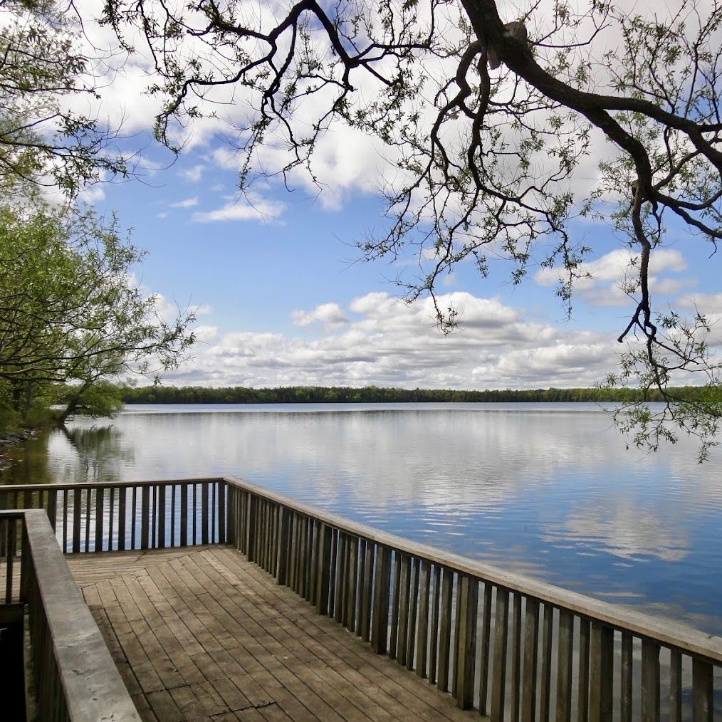 Picture of Lake on the mountain park