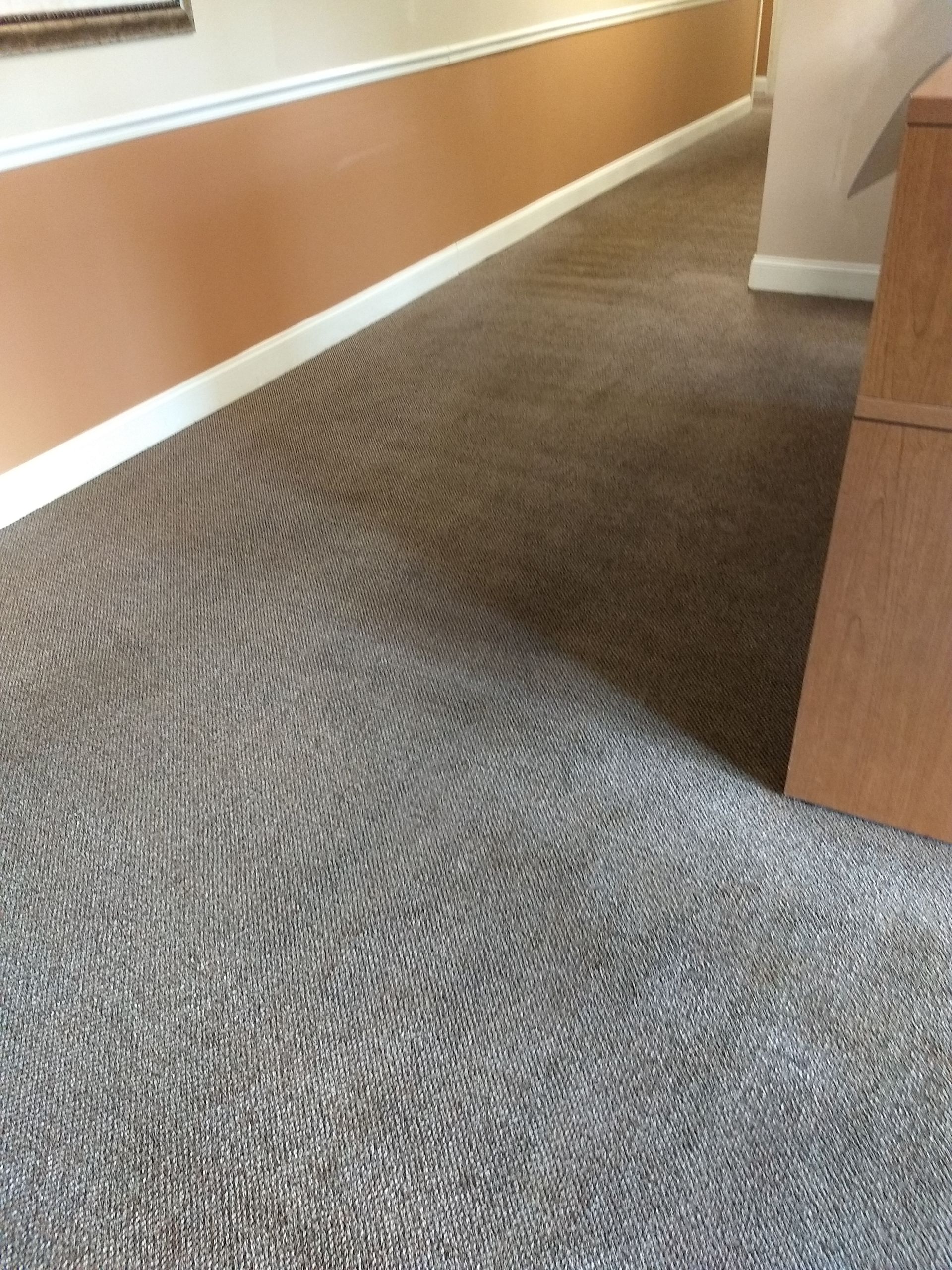 Commercial Carpet Cleaning