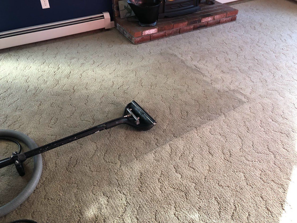 Carpet Cleaning | Whitinsville Ma | Bliss Carpet Care