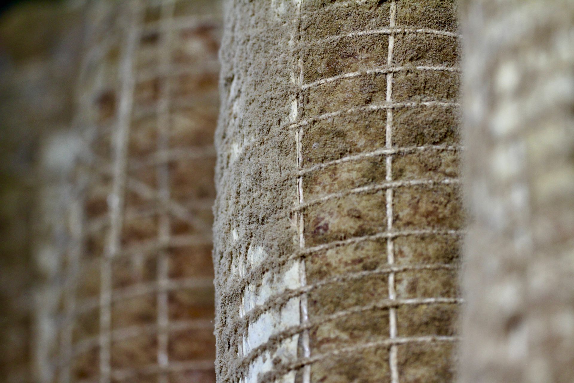 salumi