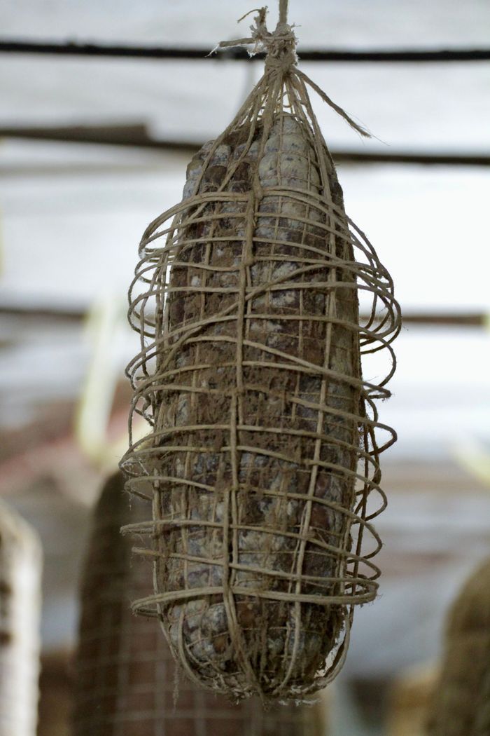 coppa