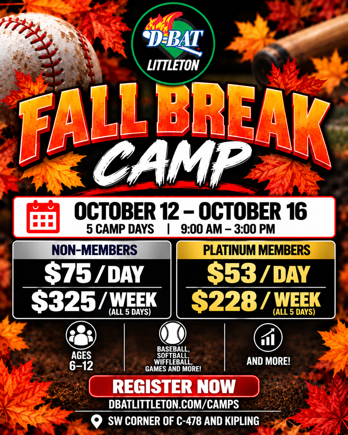 Camp or clinic flyer