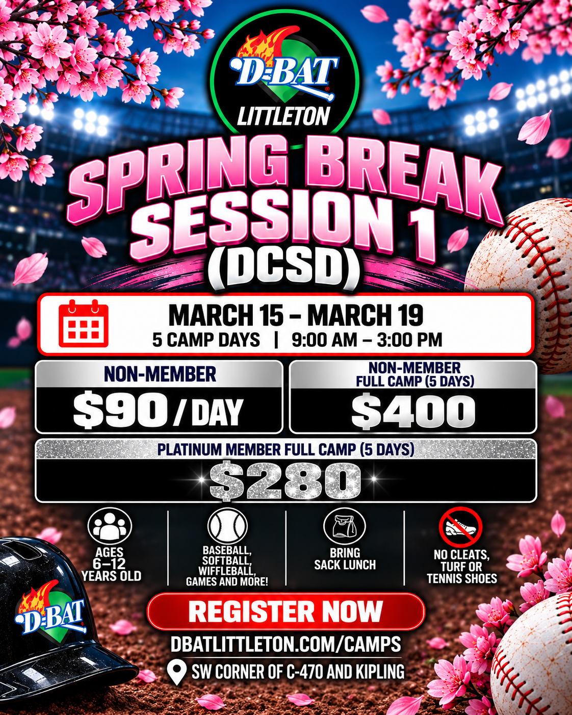 Camp or clinic flyer