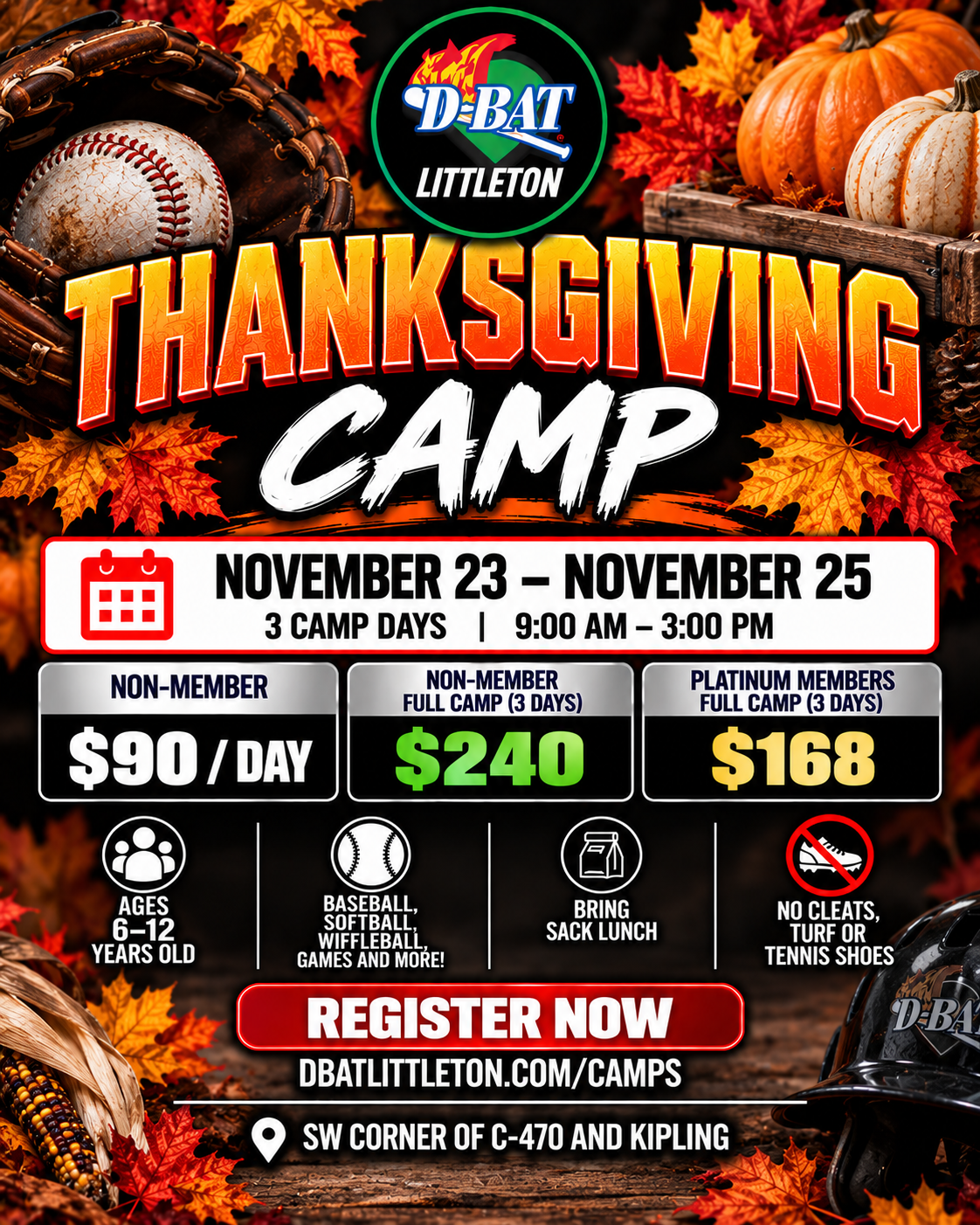 Camp or clinic flyer