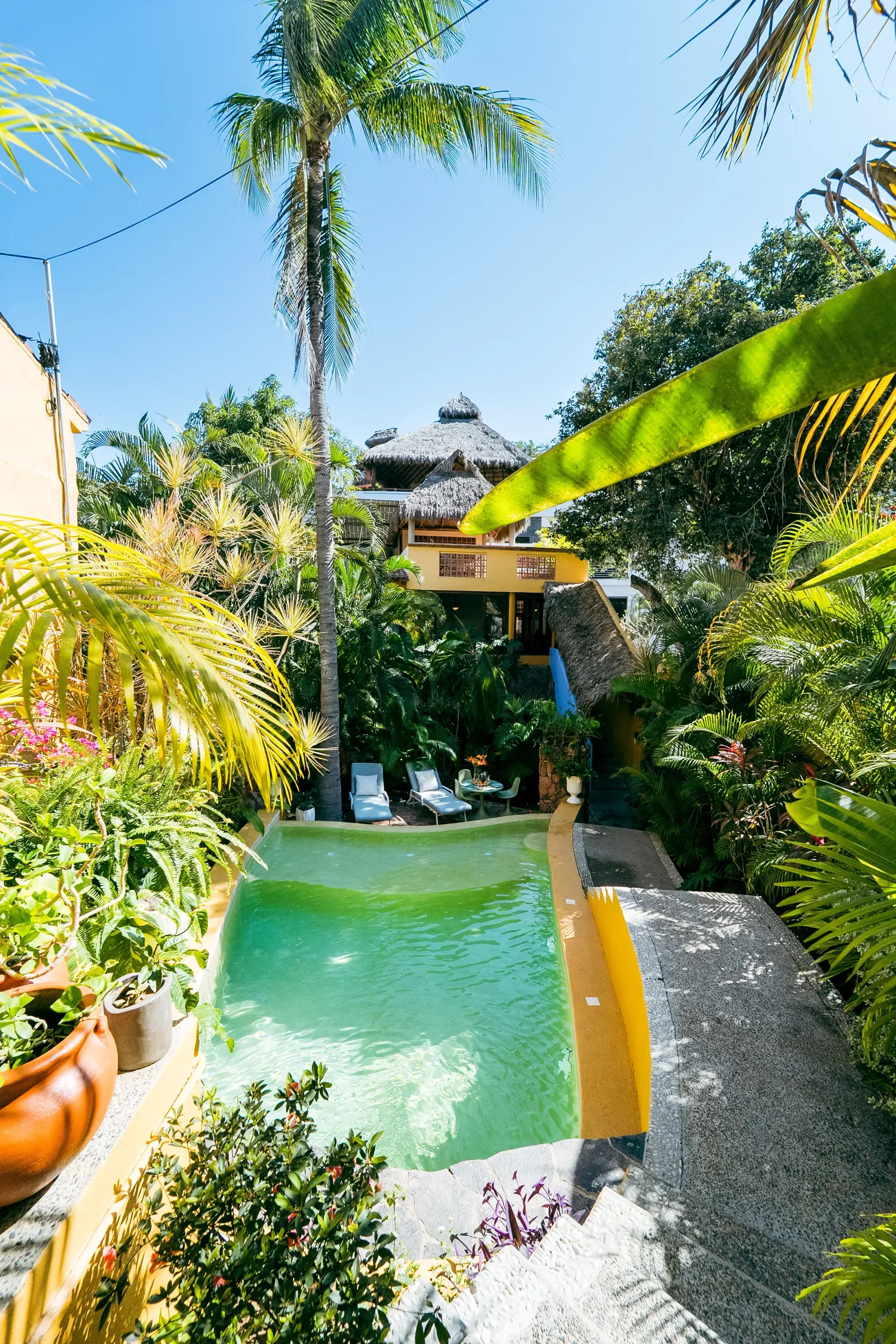 Pool surrounded by lush greenery and a multi-level building under a bright blue sky.