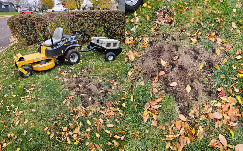 Yellow riding lawnmower and trailer next to lawn with multiple dirt mounds and fall leaves.