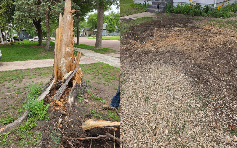 Red tractor with a large wood chunk in its front loader, near a tree stump and pile of dirt.