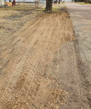 Dirt path with vehicle tracks next to a street, by a tree.