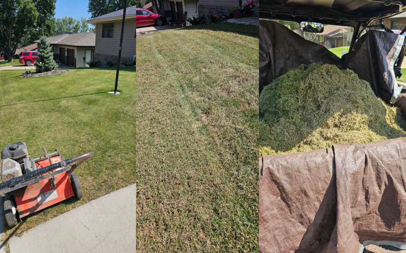 Lawn care process: lawnmower cutting grass, mowed lawn, pile of grass clippings on a tarp.