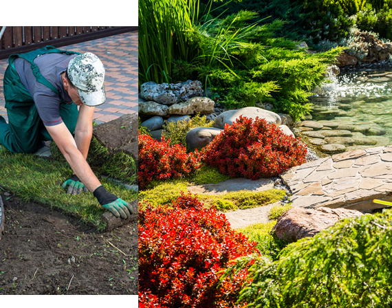 Landscape Design