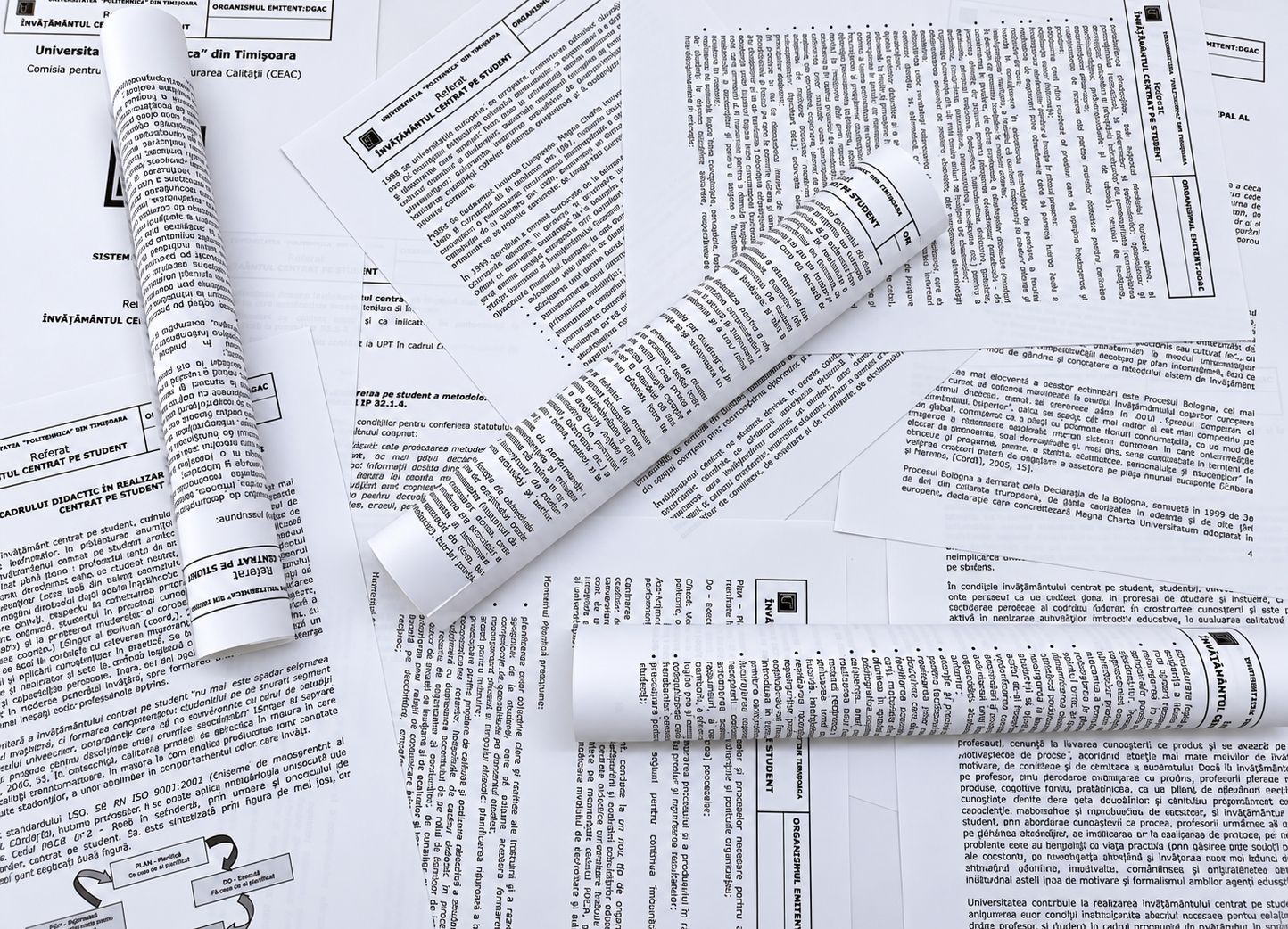 Copii referat facultate A4 alb-negru  Stancu Print