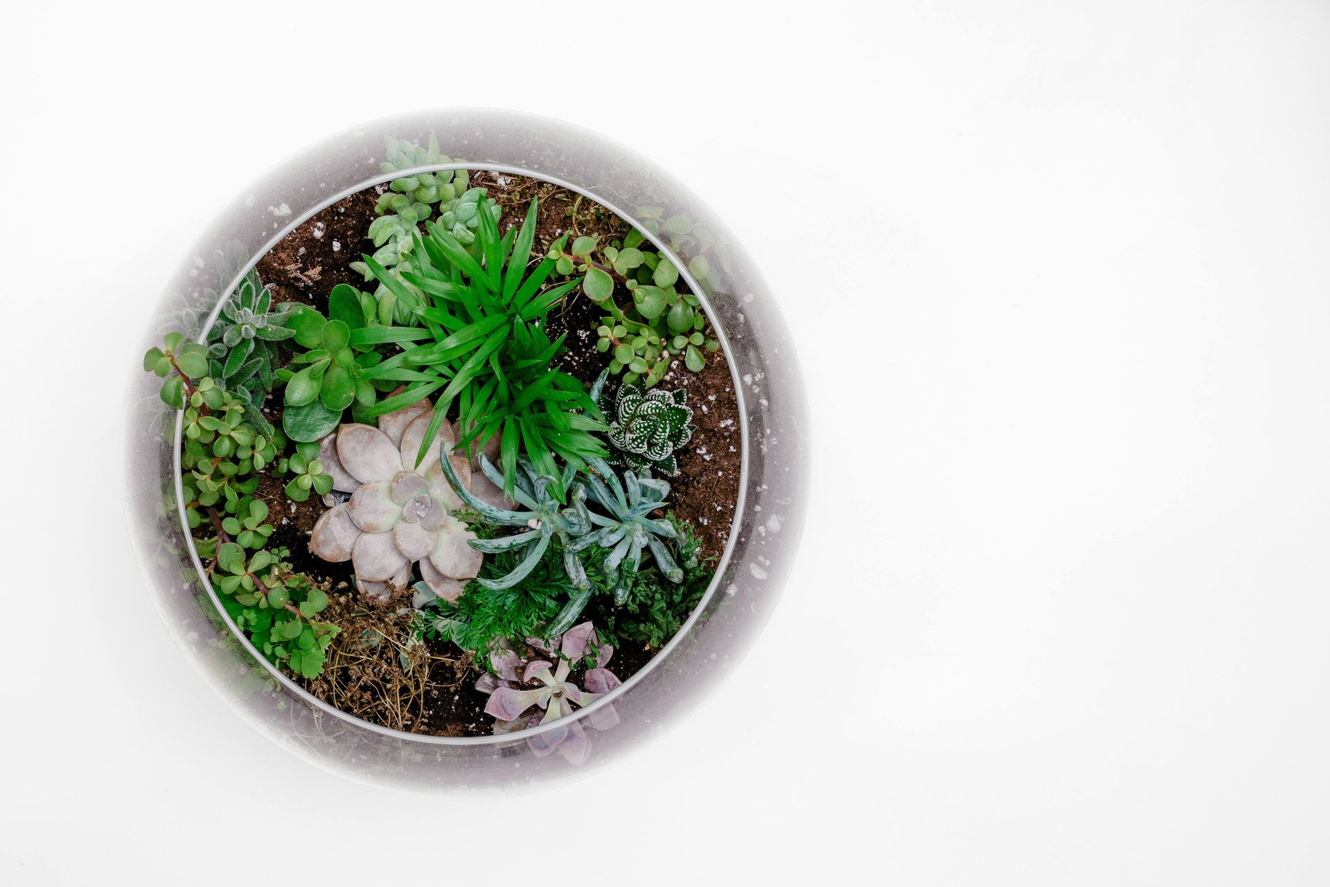Mini Garden