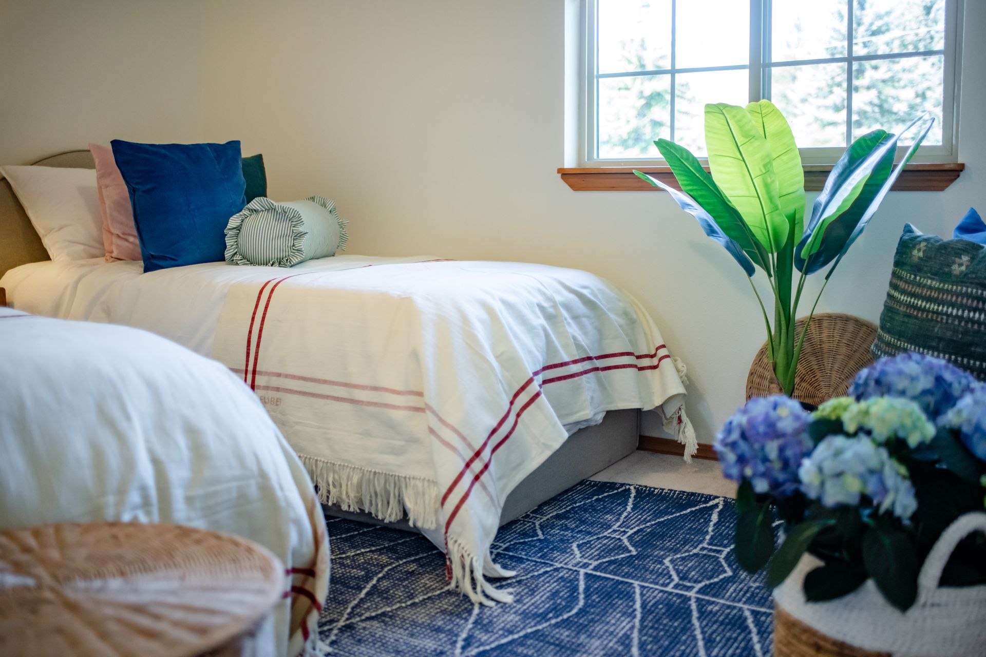 Cozy bedroom with two beds, blue patterned rug, and plants by a bright window
