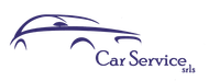 Car Service logo web