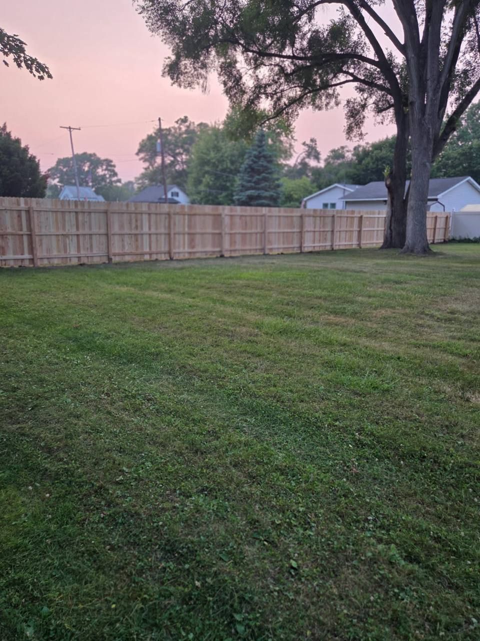 Wooden fence surrounding a grassy backyard with a tree in the corner, houses visible in the distance under a dusky sky.