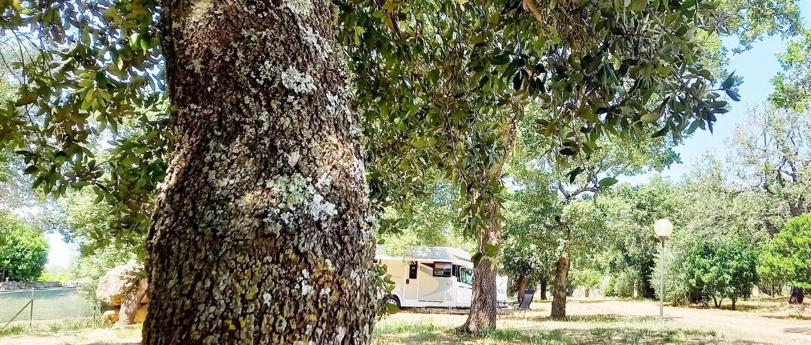 Lavora con noi a Nuraghe Ruiu