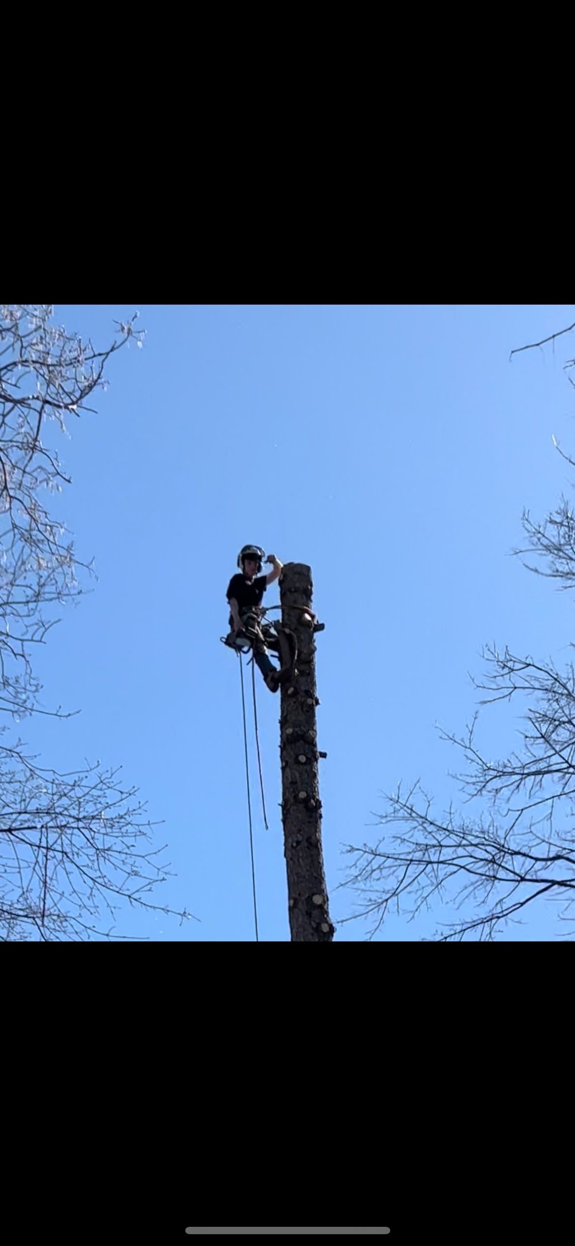 Gallery | A&R Woodpeckers Tree Service | Warren, PA