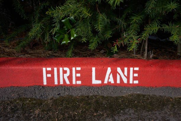 Freshly painted red curb stenciled with bold white 