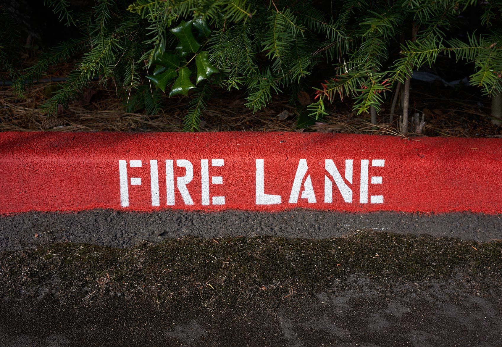 Painted fire lane curb markings.
