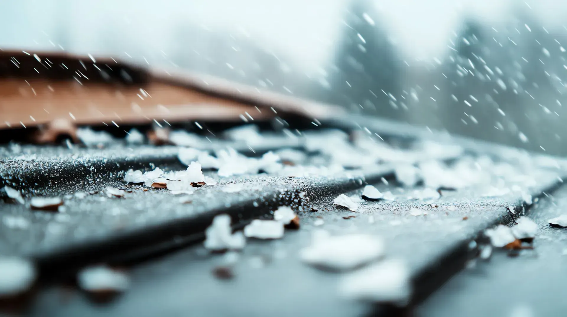 Winter in Western Massachusetts can be brutal at times on your roof 