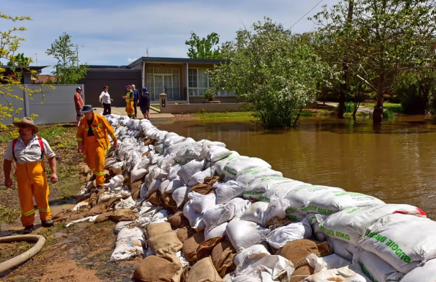 Workers stacking sandbags along a flooded road near houses and trees
