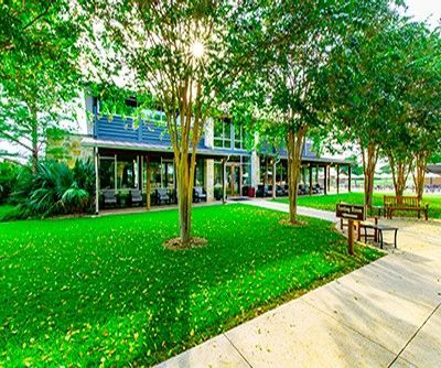 Modern building with glass facade beside a lush green lawn, trees, and a sidewalk with a bench.