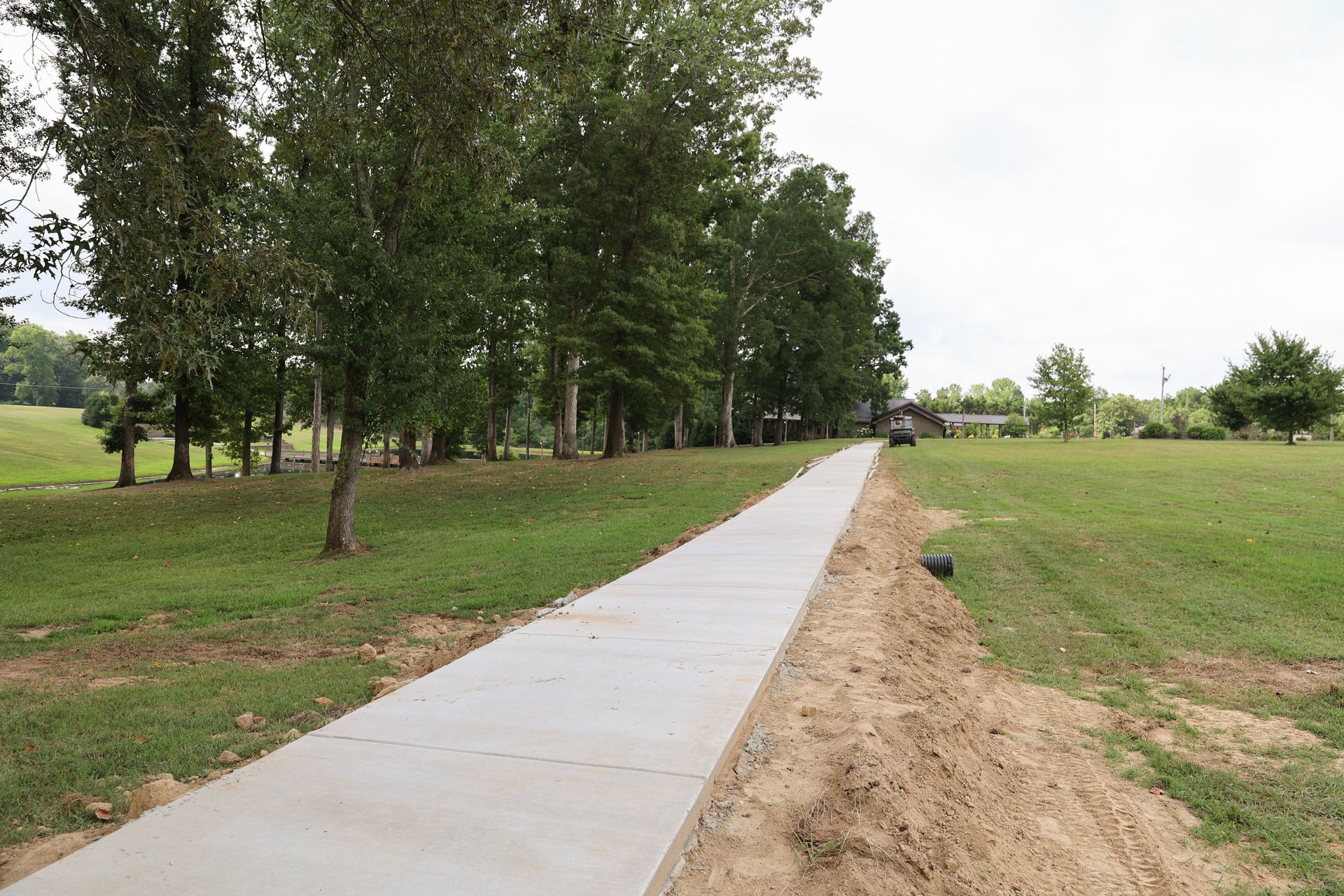A concrete walkway going through a grassy field with trees on both sides.