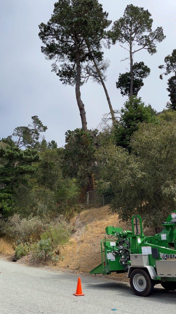 Green tree chipper near trees on a hillside under a cloudy sky; orange cone in foreground.